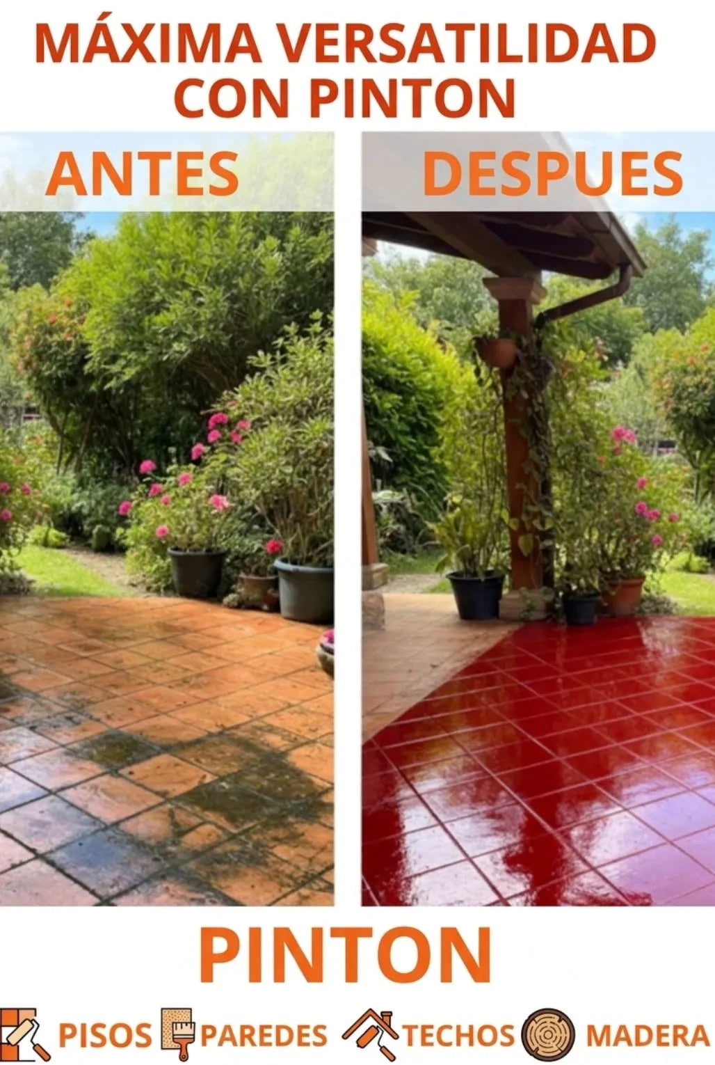 CERA PLASTICA PINTON