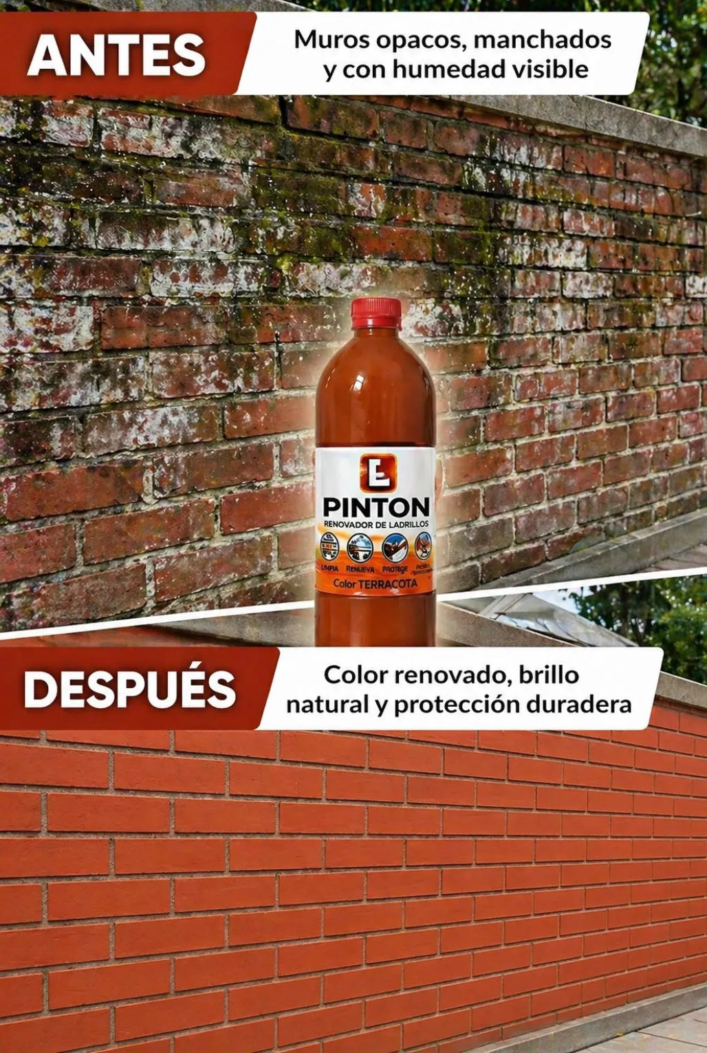 CERA PLASTICA PINTON